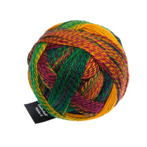 Schoppel Wolle Zauberball Stärke 6