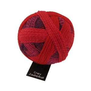 Schoppel Wolle Zauberball Crazy