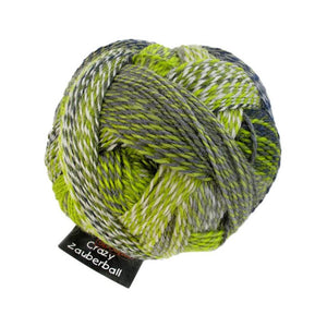 Schoppel Wolle Zauberball Crazy