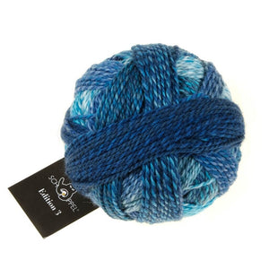 Schoppel Wolle Edition 3