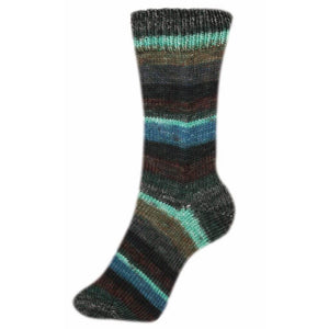 Schoeller + Stahl Fortissima Socka 4F Color