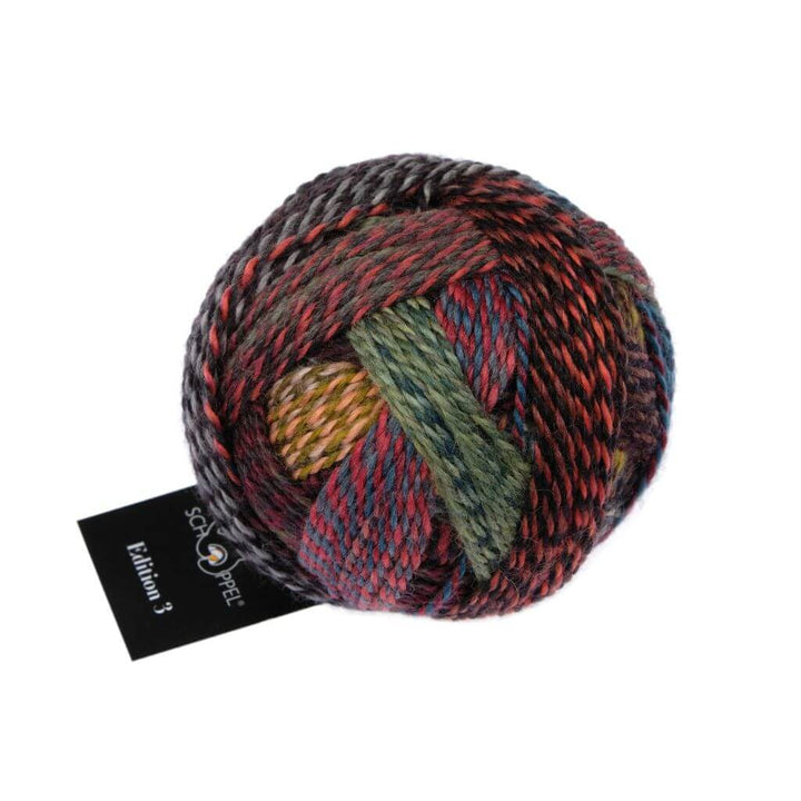 Schoppel Wolle 2630 - Regenbogenflecken Schoppel Wolle Edition 3 Lieblingsgarn