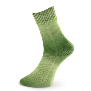 Woolly Hugs Year Socks