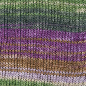 Austermann Step 6 Irish Rainbow Colours 150g