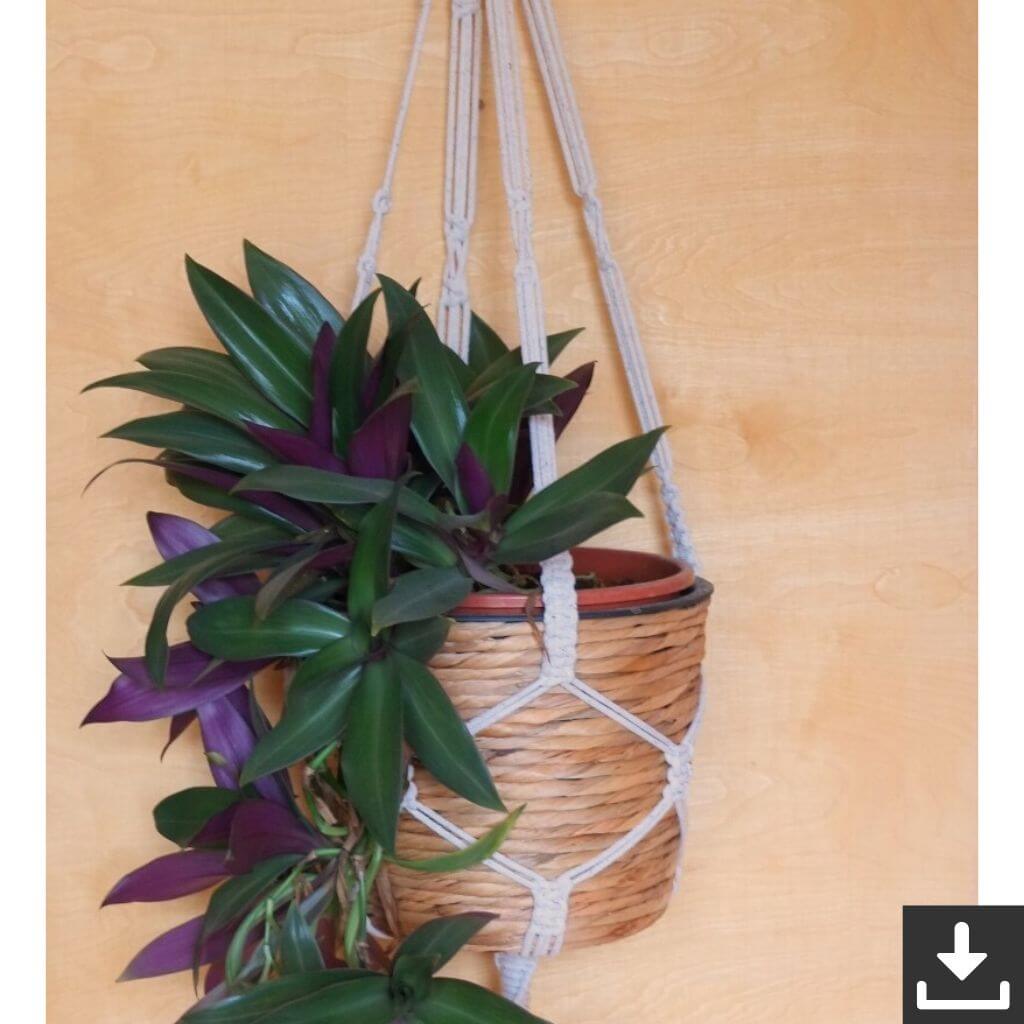 Makramee Blumenampel Lieblingsgarn
