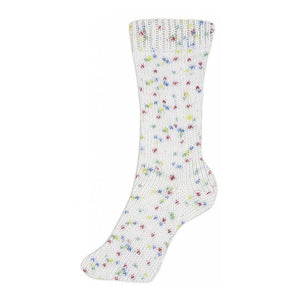 Schoeller + Stahl Fortissima Socka 4F Color