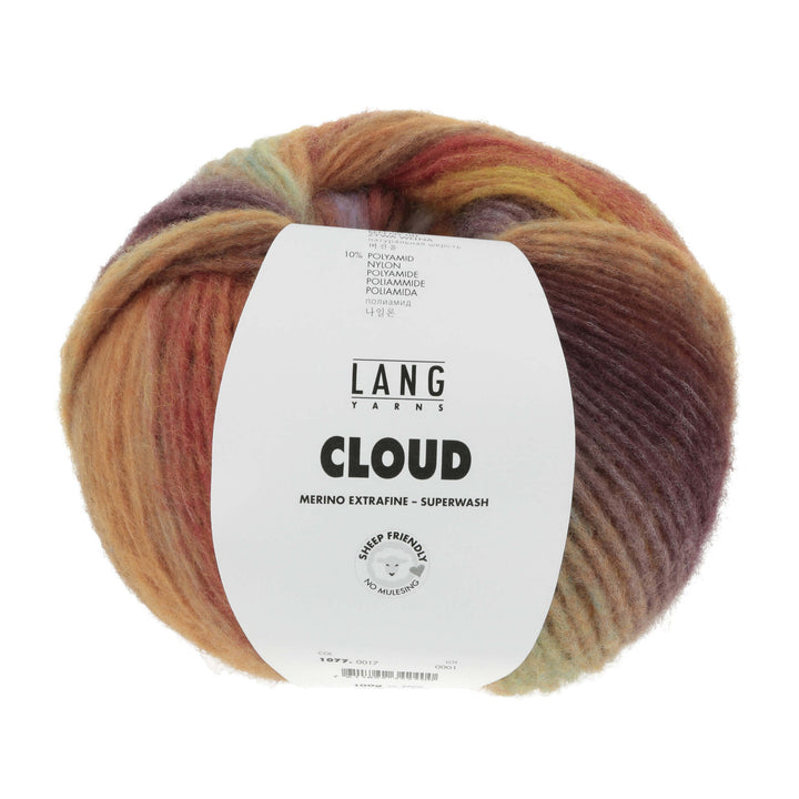 Lang Yarns 017 - braun/rot/mint Lang Yarns Cloud Lieblingsgarn