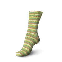 2418 - Kiwi Color