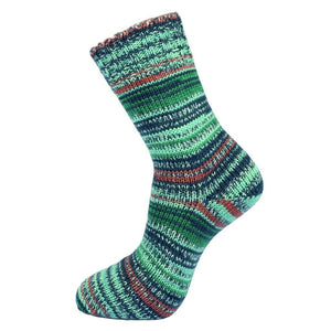Fortissima Color 6-fach Winter Zig Zag