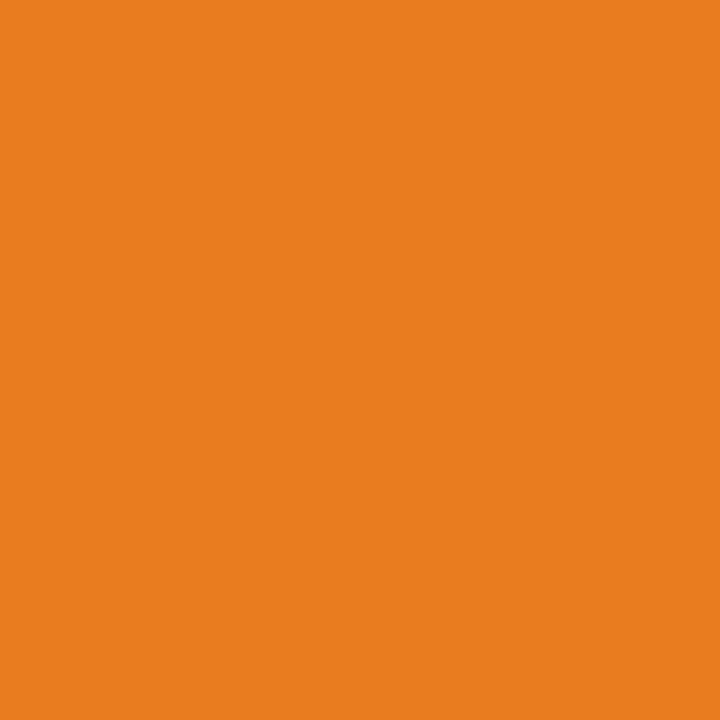 Jacquard Acid Dye Farben 14g 605 - Pumpkin Orange Lieblingsgarn