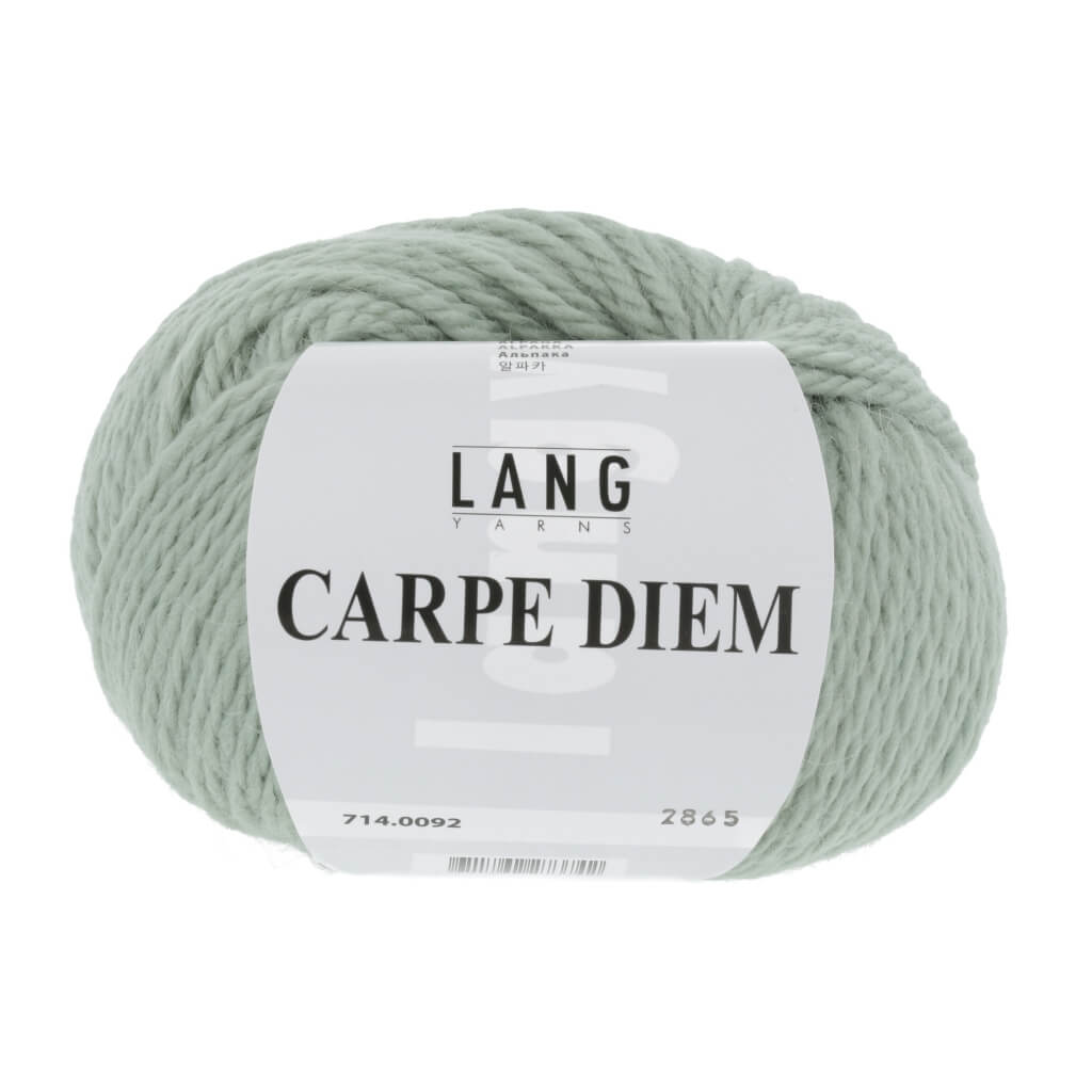 Lang Yarns Salbei Lang Yarns Carpe Diem Lieblingsgarn