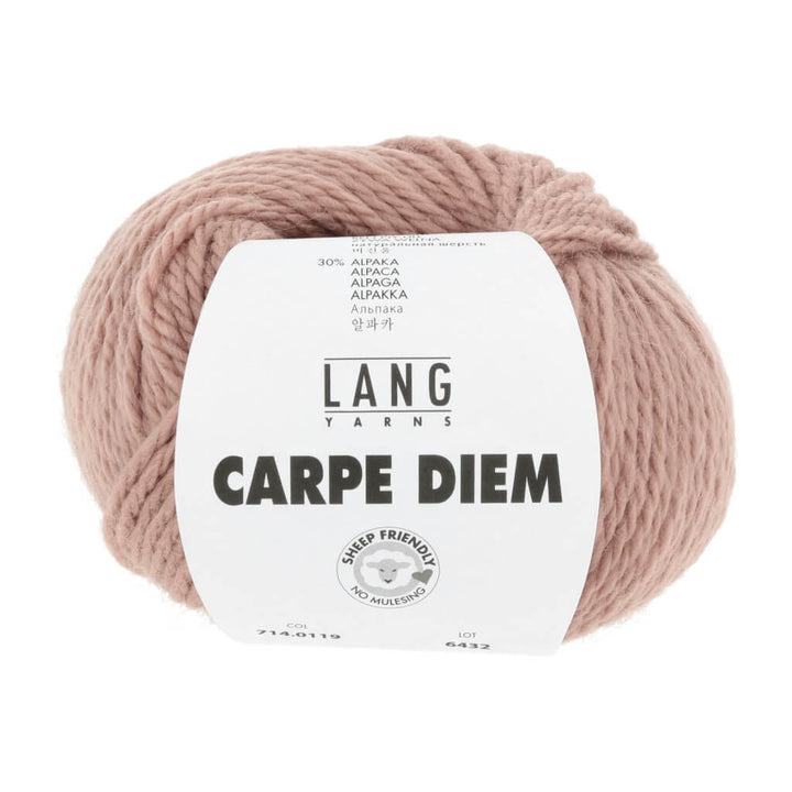 Lang Yarns 119 - puderrosa Lang Yarns Carpe Diem Lieblingsgarn