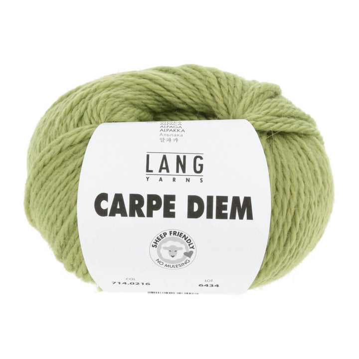 Lang Yarns 216 - matcha Lang Yarns Carpe Diem Lieblingsgarn