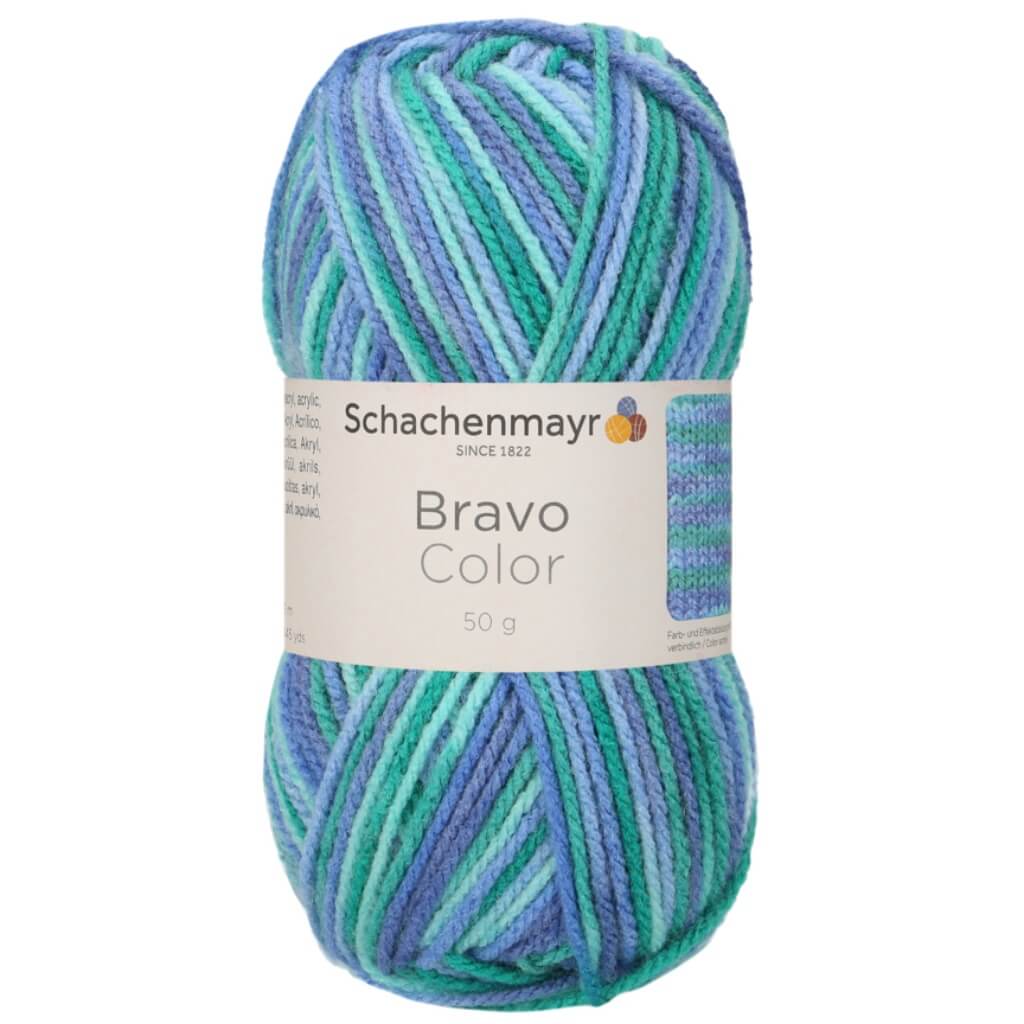 Schachenmayr Bravo Originals Color