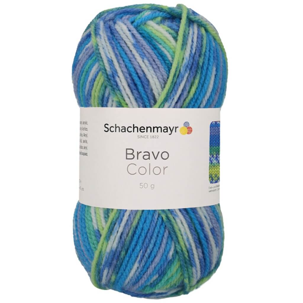 Schachenmayr Bravo Originals Color
