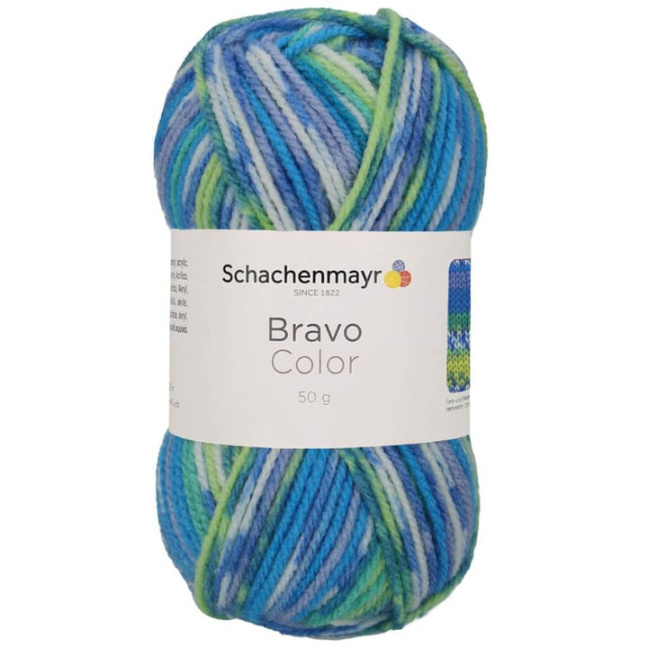 Schachenmayr Bravo Originals Color