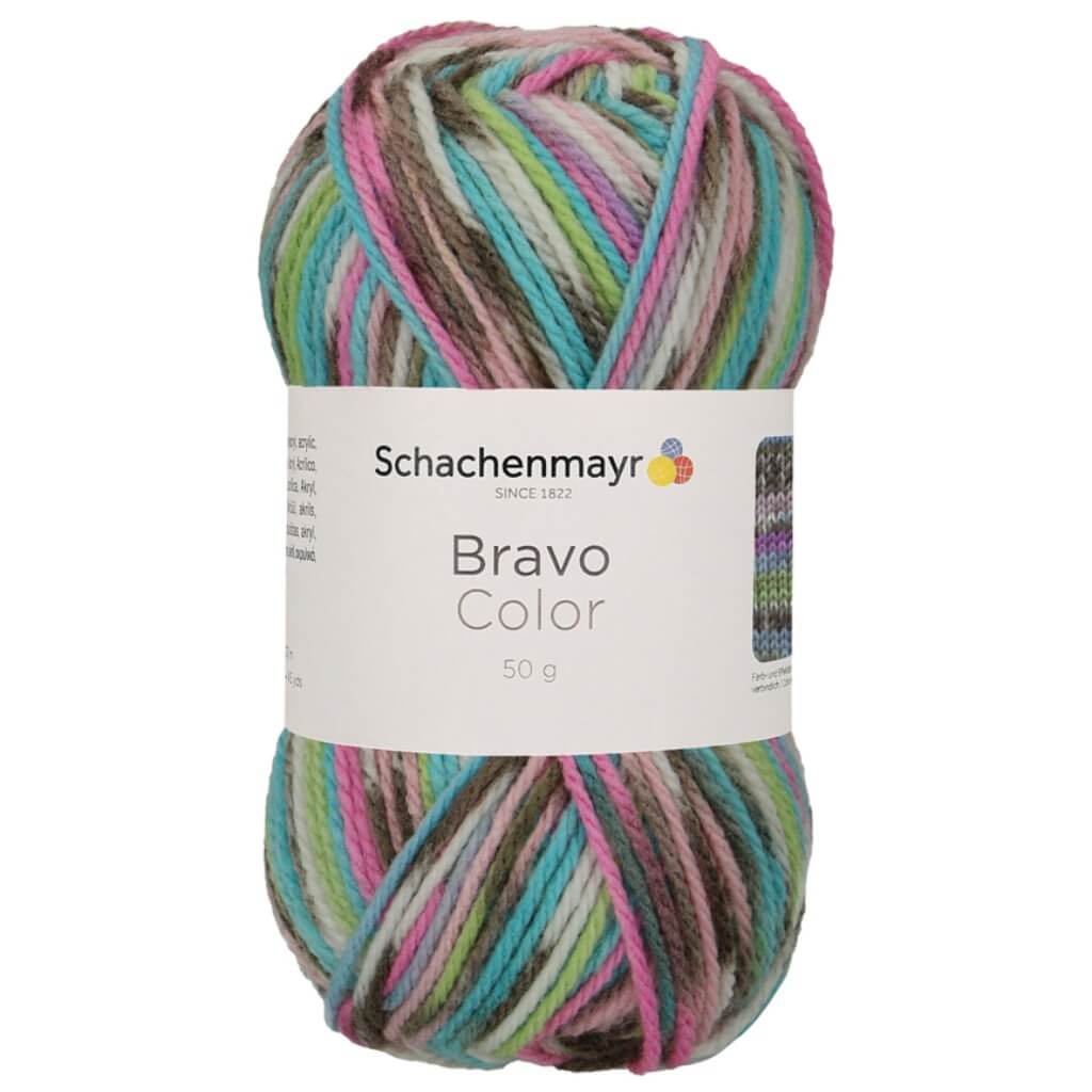 Schachenmayr Bravo Originals Color