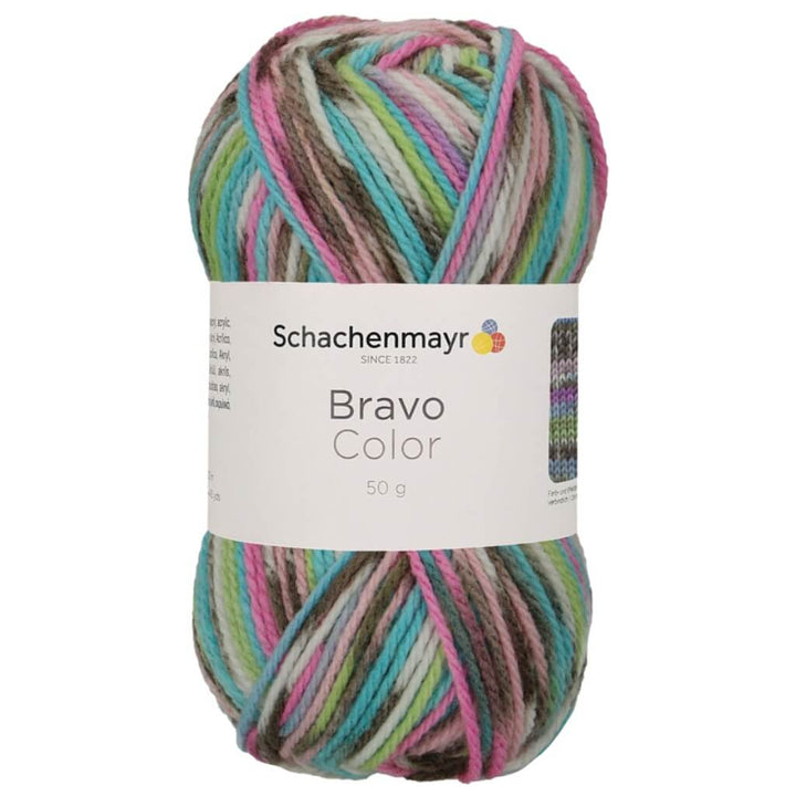 Schachenmayr Bravo Originals Color