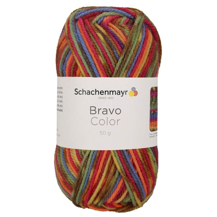 Schachenmayr Bravo Originals Color