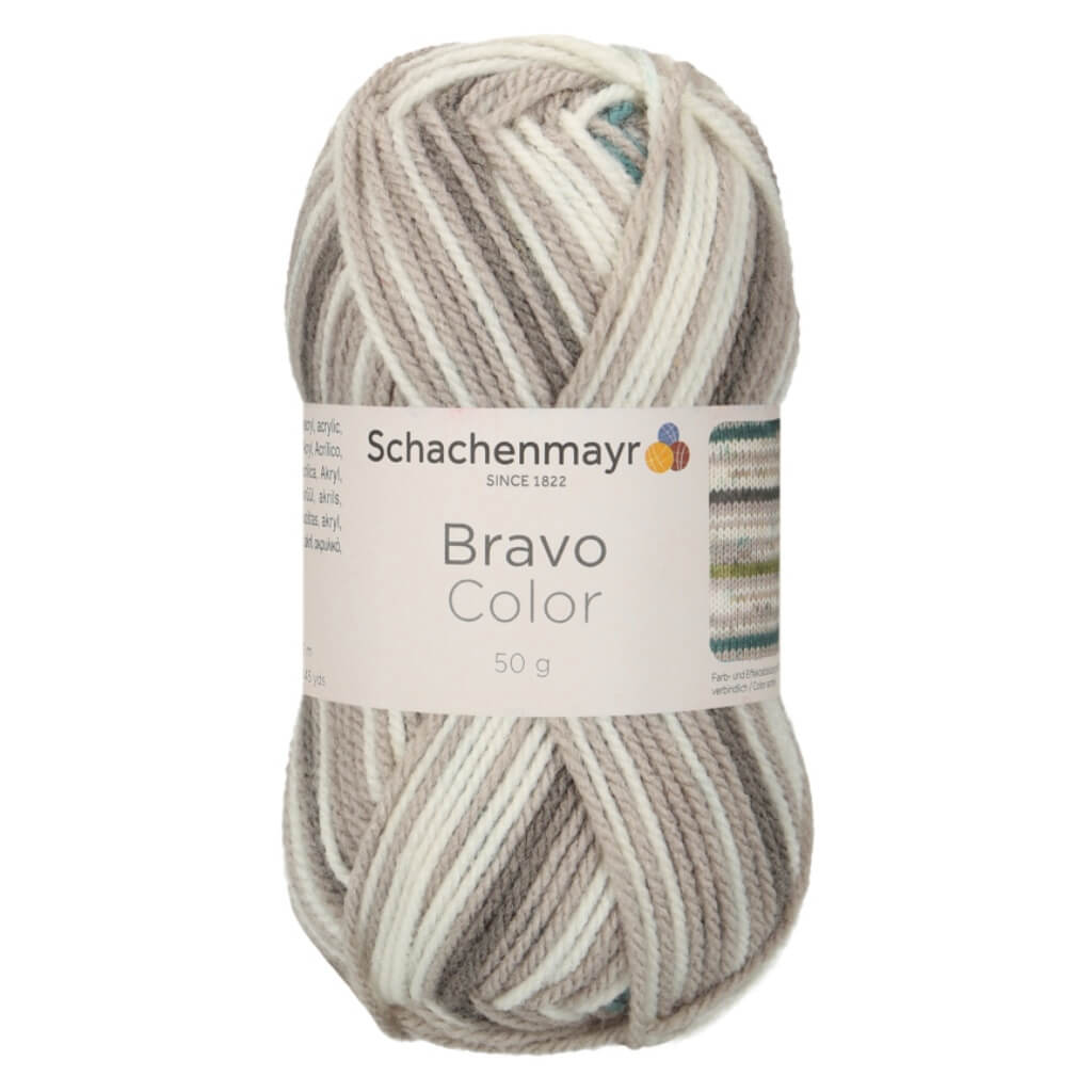 Schachenmayr Bravo Originals Color