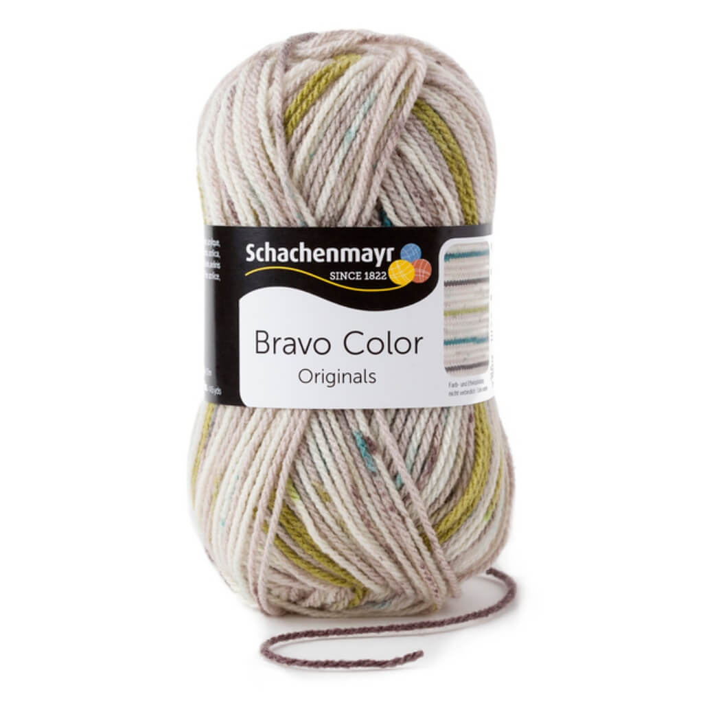 Schachenmayr Bravo Originals Color 2108 - Nebel Color Lieblingsgarn