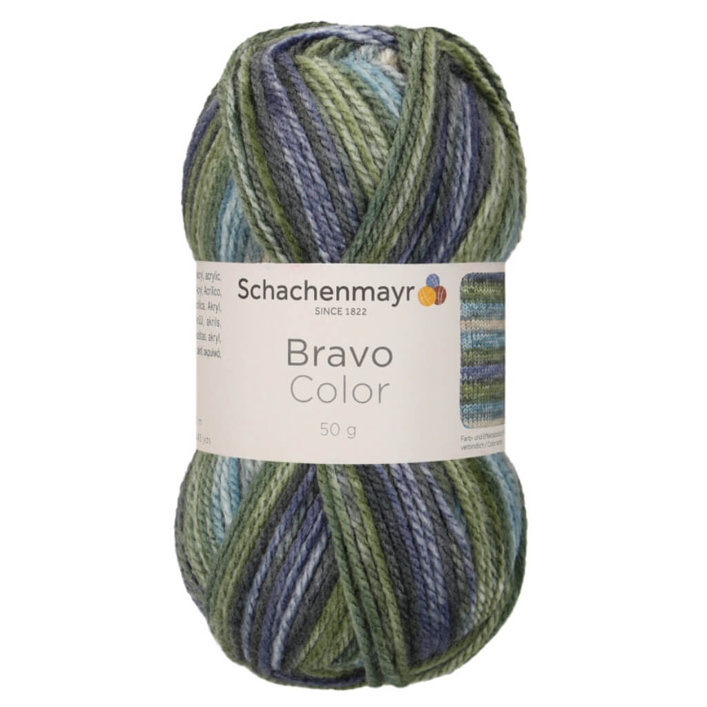 Schachenmayr Bravo Originals Color