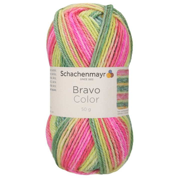 Schachenmayr Bravo Originals Color