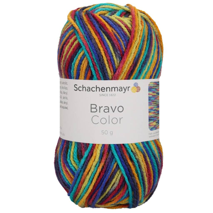 Schachenmayr Bravo Originals Color