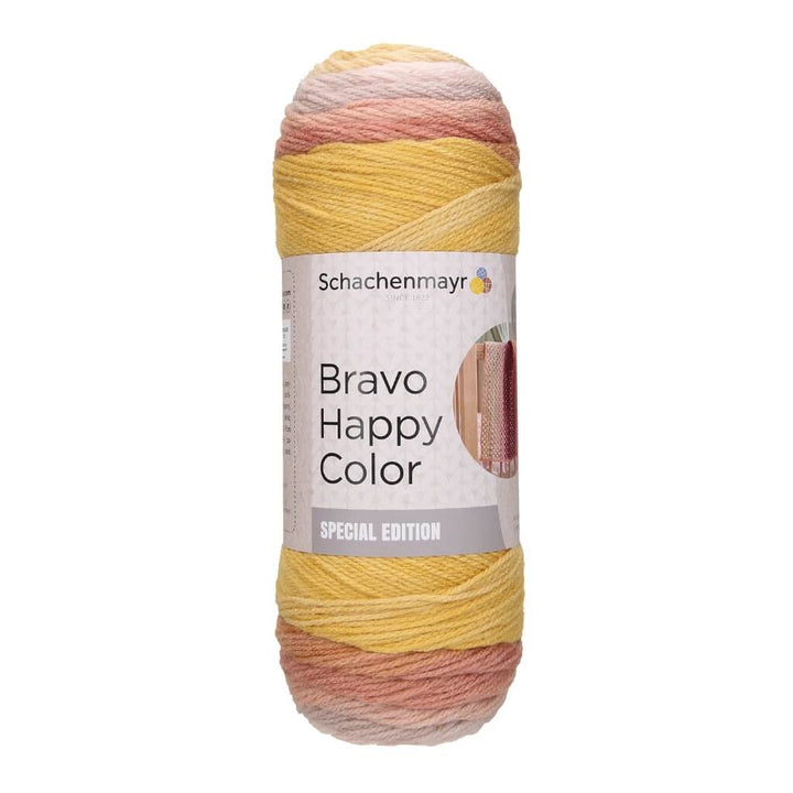 Schachenmayr 2076 - Butterfly Schachenmayr Bravo Happy Color 150g Lieblingsgarn