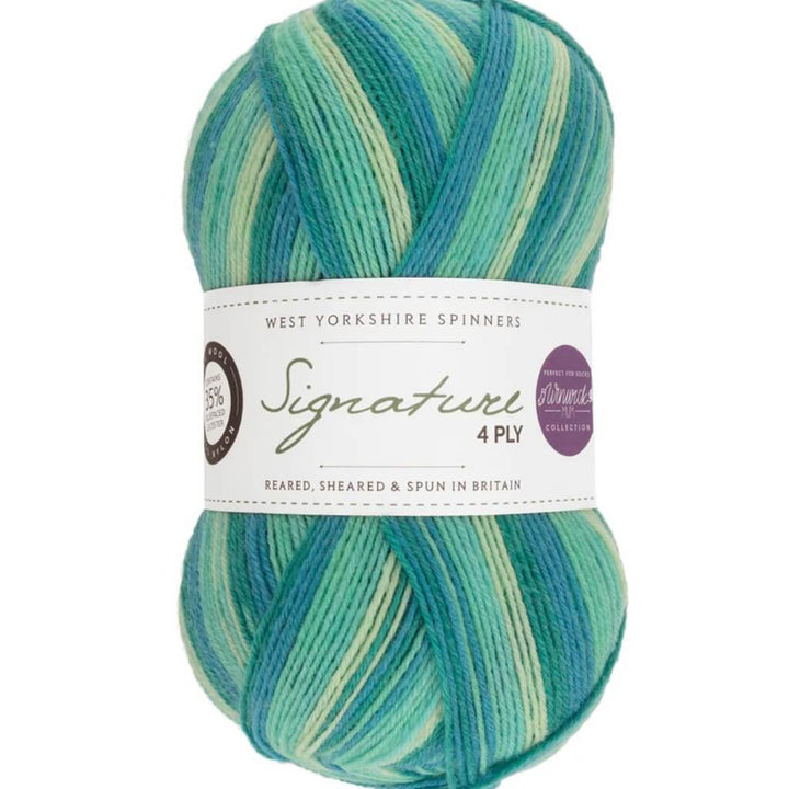 West Yorkshire Spinners Signature 4ply Winwick Mum