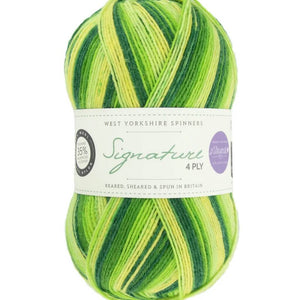 West Yorkshire Spinners Signature 4ply Winwick Mum