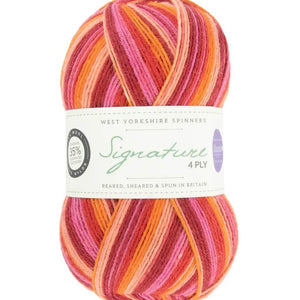 West Yorkshire Spinners Signature 4ply Winwick Mum