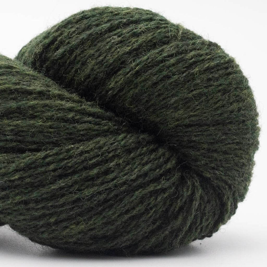 BC Garn 8 - Waldgrün meliert RAS BC Garn Bio Shetland GOTS Lieblingsgarn
