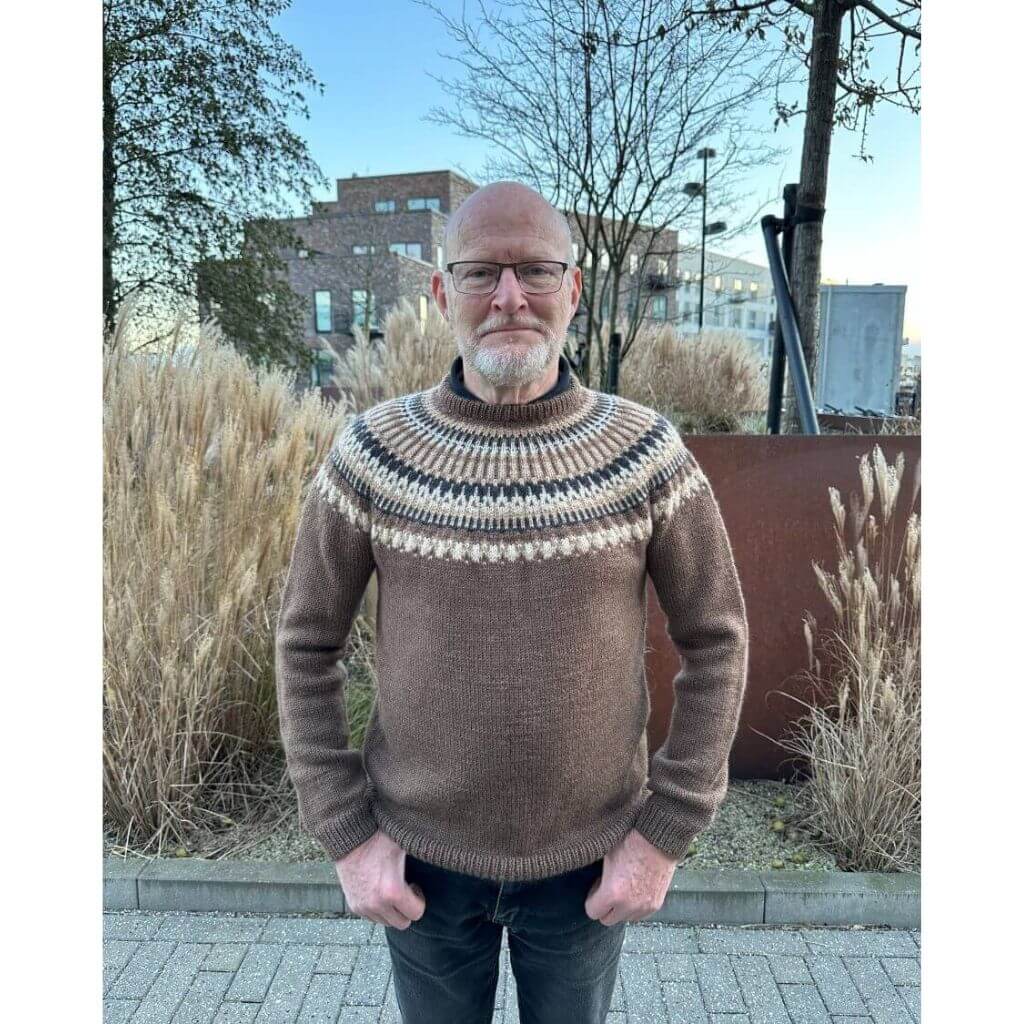 PetiteKnit PetiteKnit Celeste Sweater Man Lieblingsgarn