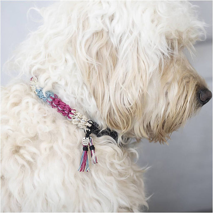 Creativ Company Creativ Company Mini Häkeln-Set Hundehalsband Lieblingsgarn