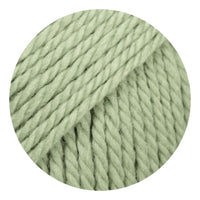 8923 sage green