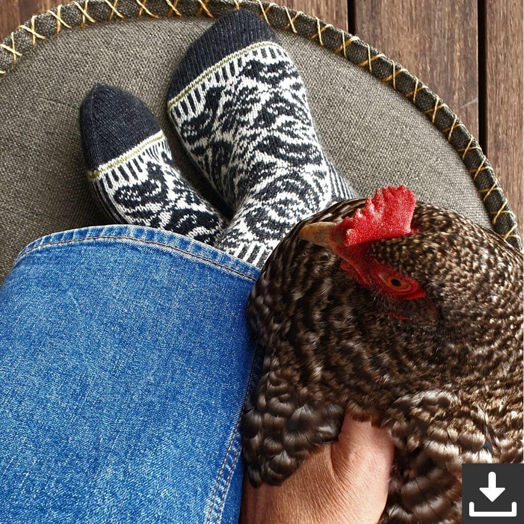 Chicken Run Socken Strickanleitung - Ducathi (PDF)