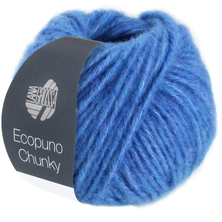 Lana Grossa Stricken & Häkeln 131 - Hellblau Lana Grossa Ecopuno Chunky Lieblingsgarn