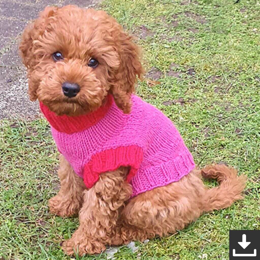 Drops Design Pattern Hundepullover Good Girl Sweater Strickanleitung - Drops (PDF) Lieblingsgarn