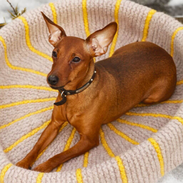 Drops Design Pattern Hundekorb Hot Dog Strickanleitung - Drops (PDF) Lieblingsgarn