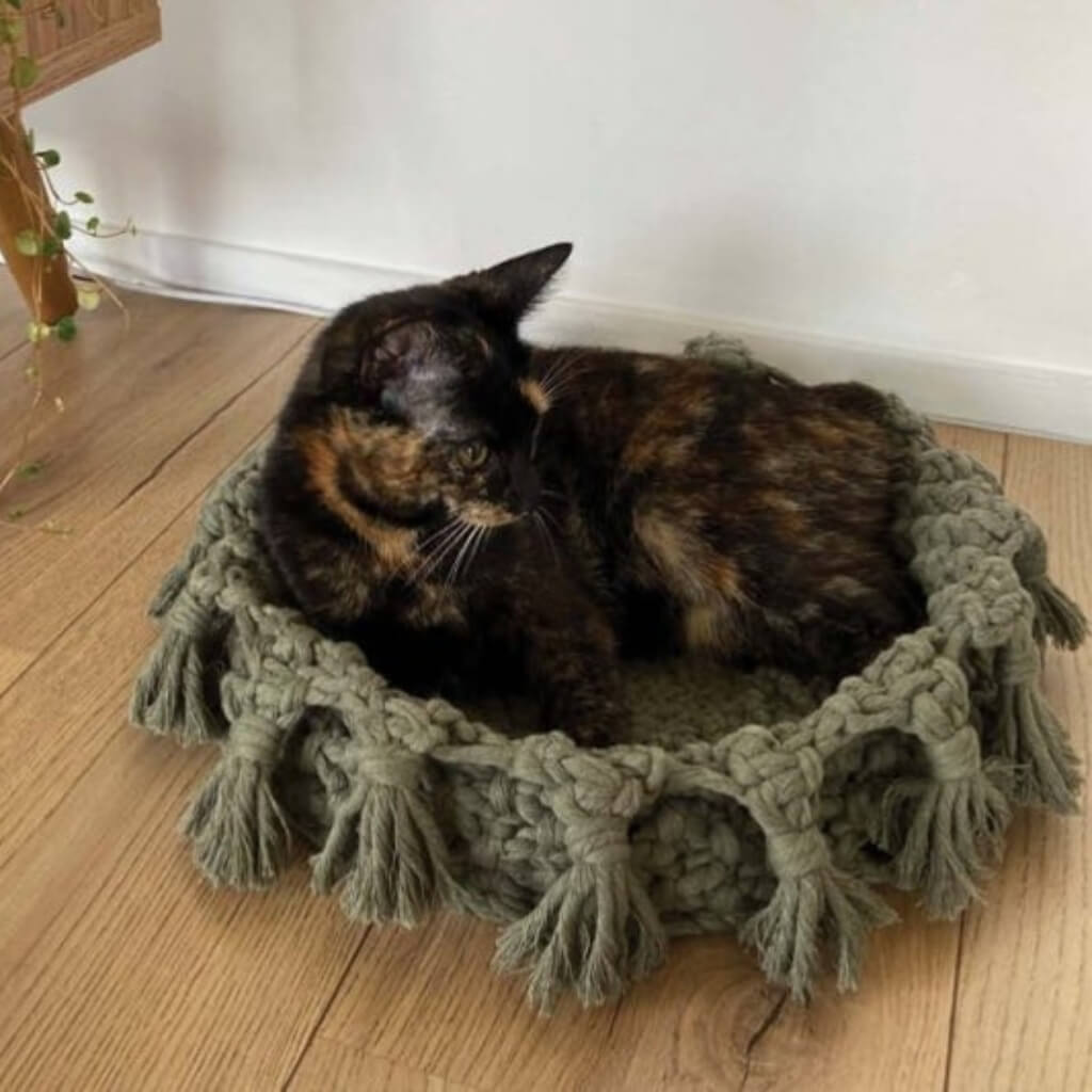 makramee hängematte katze anleitung Makramee Katzenkörbe Durable Rope ▷ lieblingsgarn