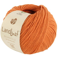 26 - Zimtorange