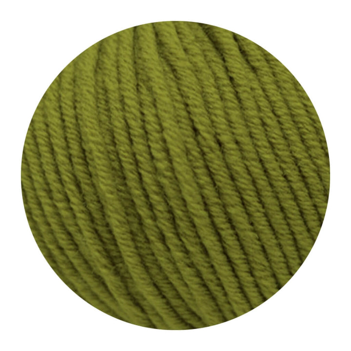 Lane Mondial 282 - Farn Lane Mondial Bio Lana 50g - Bio Wolle Lieblingsgarn