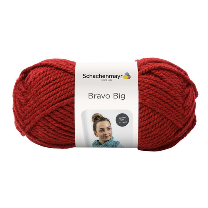 Schachenmayr Bravo Big 200g