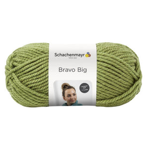 Schachenmayr Bravo Big 200g