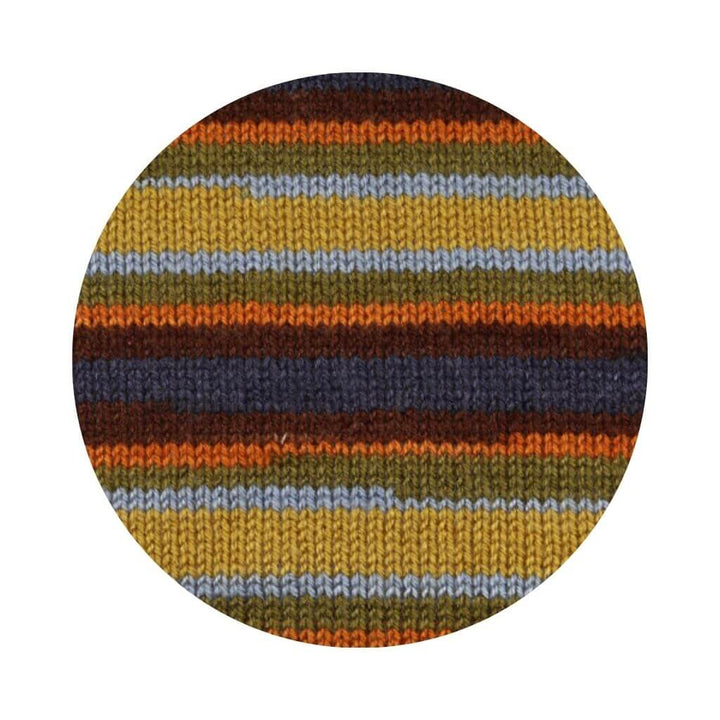 Schachenmayr 2146 - Luna Color Schachenmayr Bravo Originals Color Lieblingsgarn