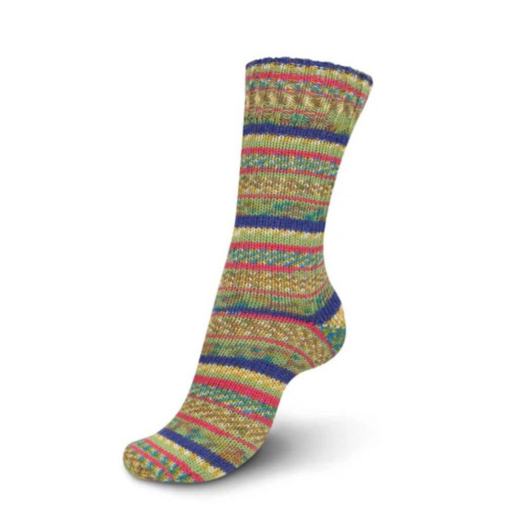 Schachenmayr Regia 4-Fädig Color 100g