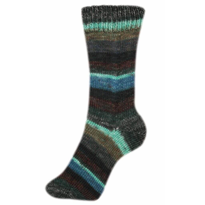 Schoeller + Stahl 2499 - Pflaume Schoeller + Stahl Fortissima Socka 4F Color Lieblingsgarn