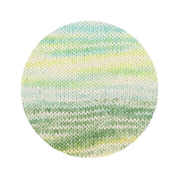 107 - Everglades