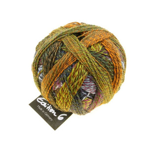 Schoppel Wolle Edition 6